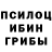 Псилоцибиновые грибы прущие грибы Pla_N
