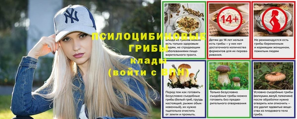 тгк Балахна