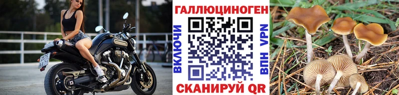 omg вход  купить наркотики цена  Зима  Галлюциногенные грибы мицелий 